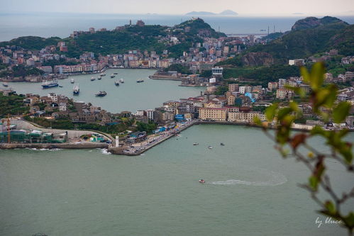 臺州的?！涟雿u